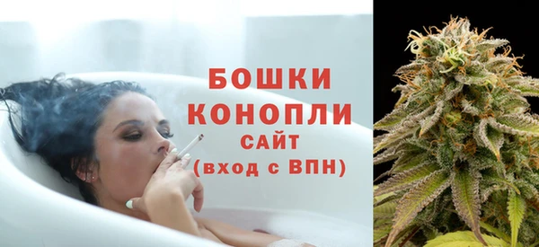 дживик Козельск