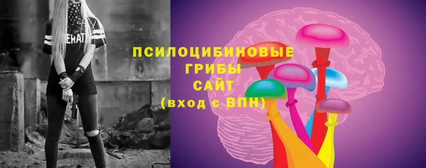 дживик Козельск