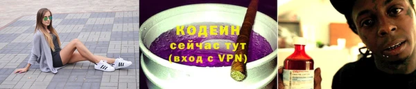 дживик Козельск