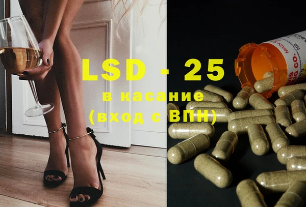 PSILOCYBIN Козловка