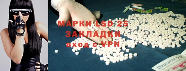 PSILOCYBIN Козловка