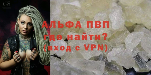 дживик Козельск