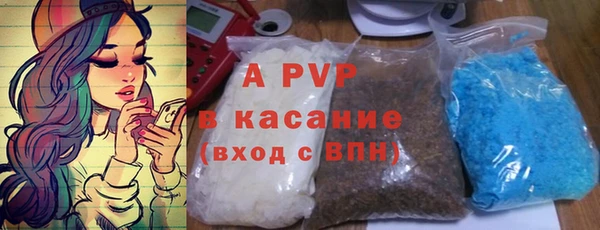 PSILOCYBIN Козловка