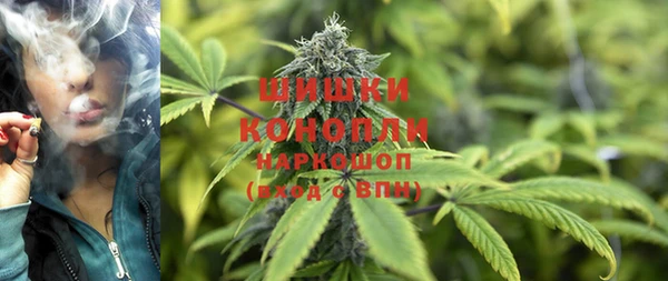 PSILOCYBIN Козловка