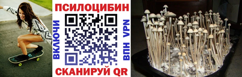 Галлюциногенные грибы Psilocybe Дербент