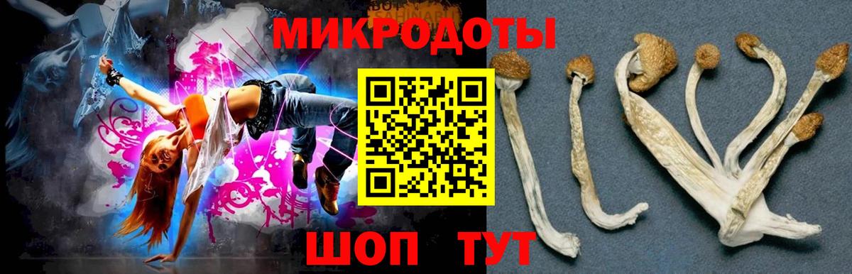 Псилоцибиновые грибы мухоморы Дербент
